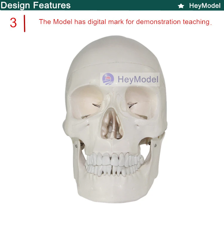 3 _