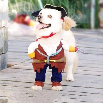 Cat Pirate Cosplay Costume 1