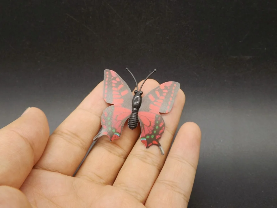I245-Butterfly (1)
