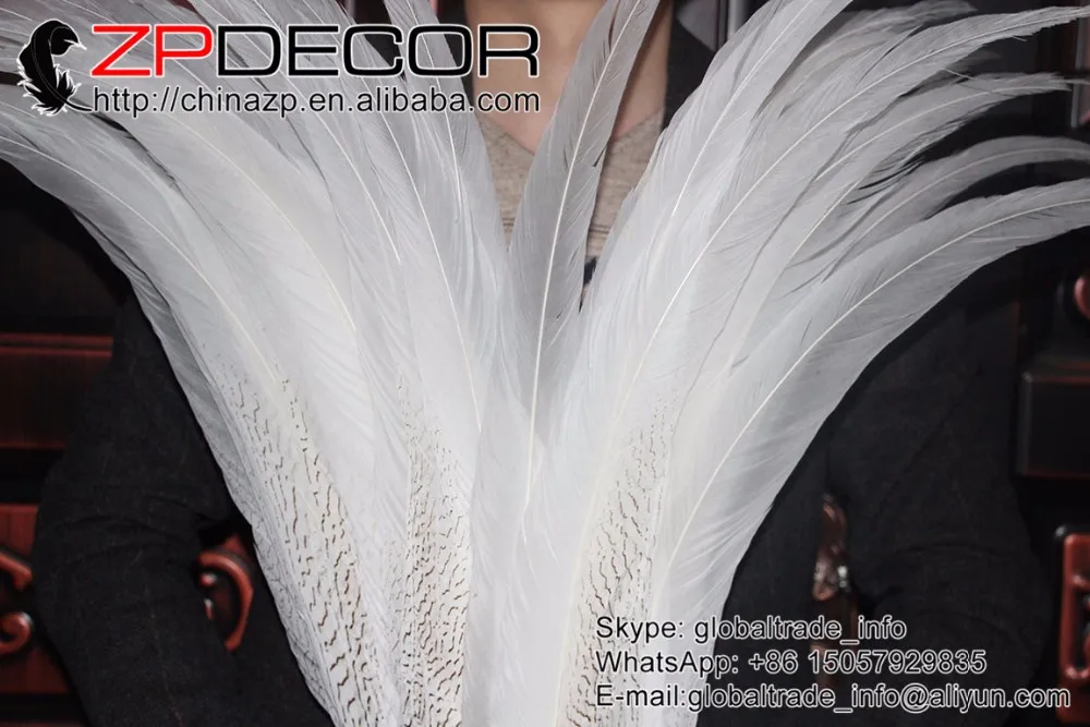 65-70cm silver pheasant feathers right and left (7)