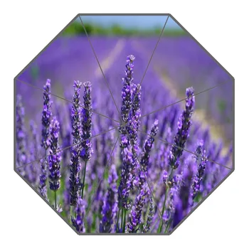 

New Arrival Lavender Flower Umbrellas Non-Automatic Folding Women Rain Umbrella Customized Fashion Portable Umbrella Gift