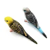 10pcs/lot Simulation mini Cute Parrot bird figurine animal Model home decor miniature fairy garden decoration accessories figure ► Photo 3/6