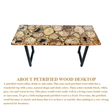 

40kg to 58kg Natural Petrified Wood Fossil Tabletop Retro and Nostalgic Style Home Furnitures Tabletop Surface
