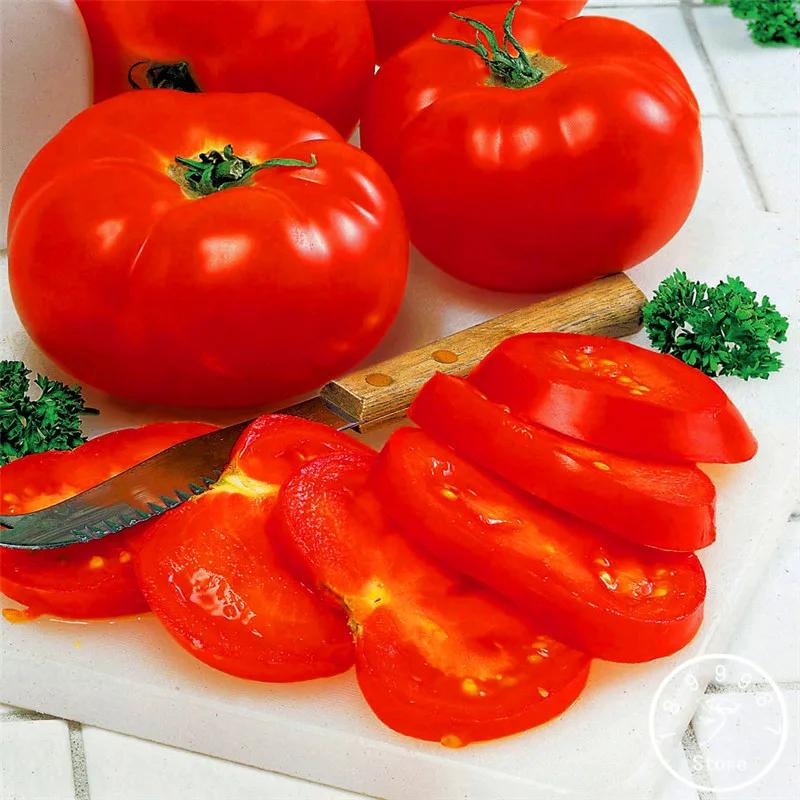 Promotion!Big Beef Hybrid Tomato Seeds, 100 Pieces / Pack, Extra large