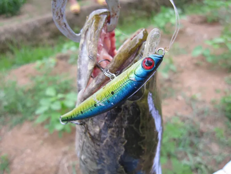 Trulinaoya Minnow 07