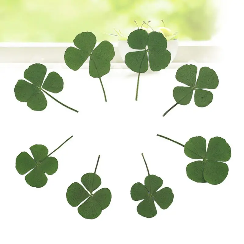 

JAVRICK 10Pcs DIY Dried Leaf Clover UV Resin Decor Nail Art Epoxy Natural Mold DIY Filling Jewelry Decoration