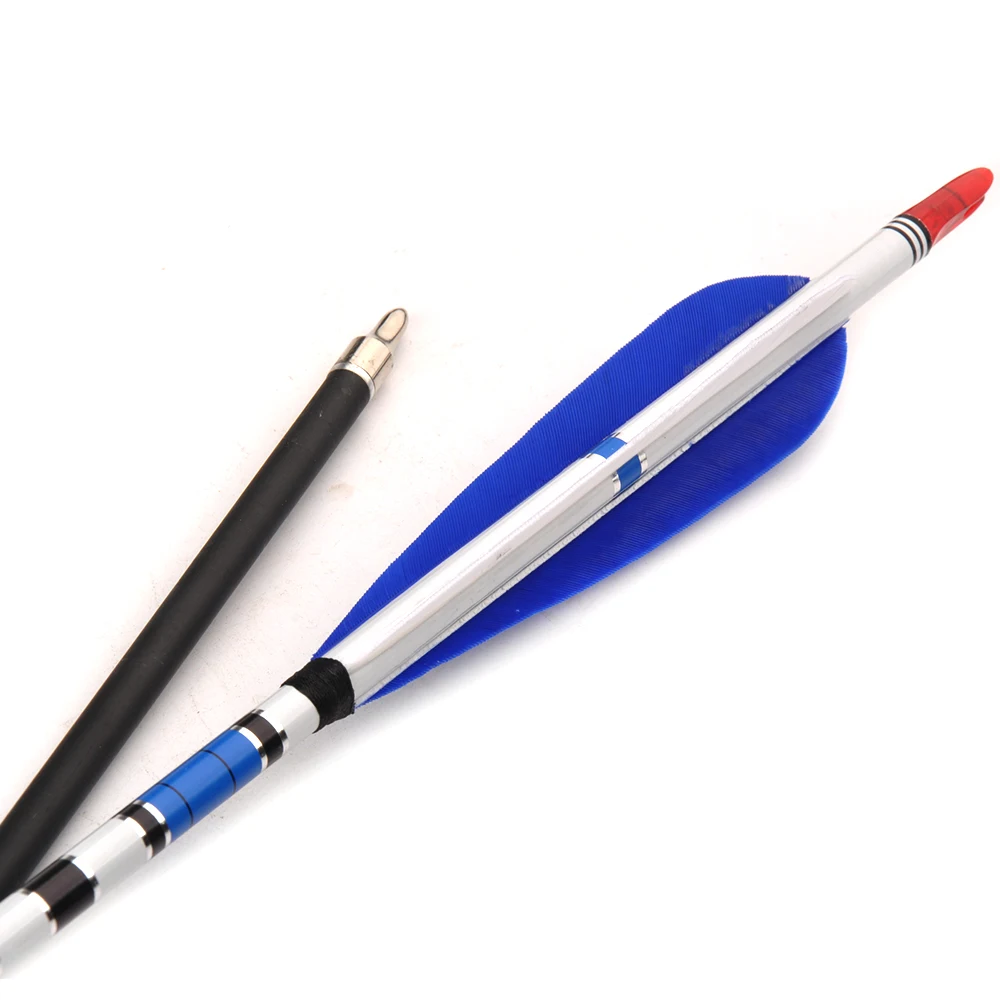 HTB1QK2WSXXXXXa8aXXXq6xXFXXXG