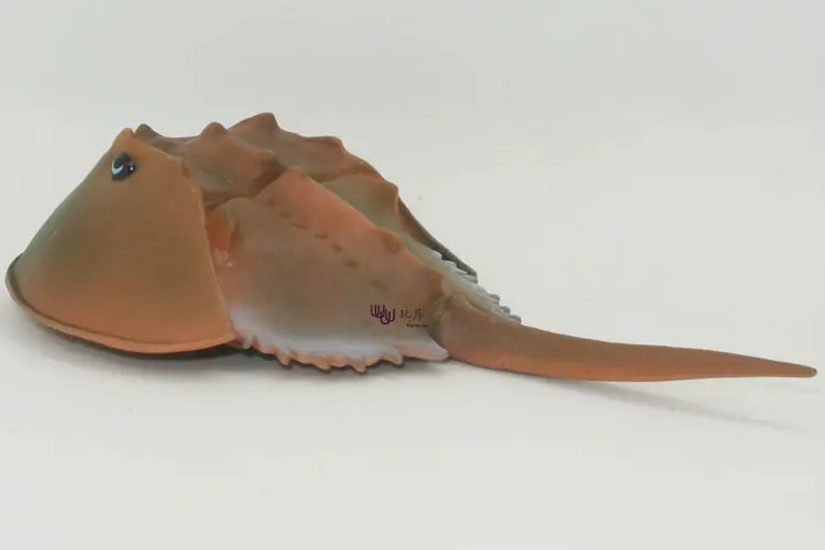 PL127-4884