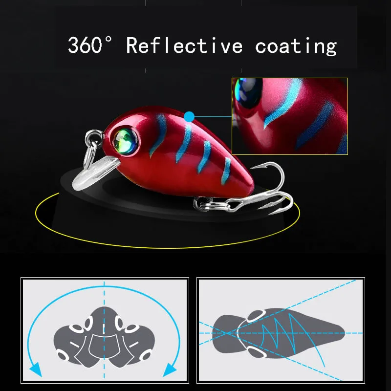 4584604332_823744773