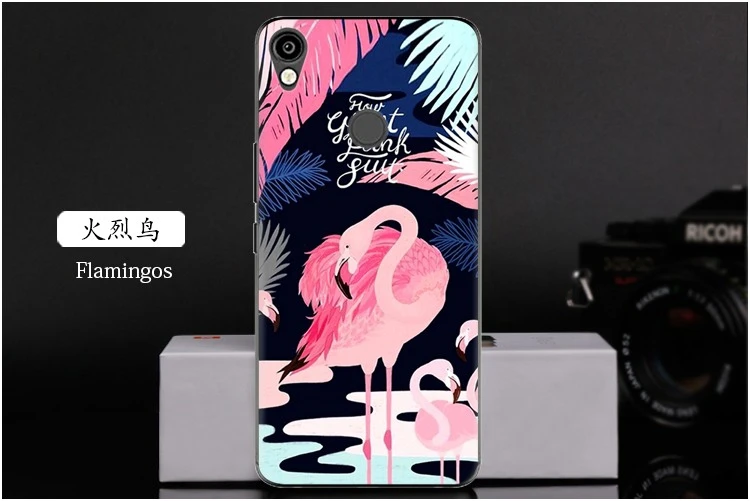  Flamingos