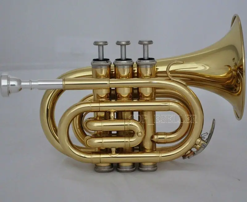 Brand New Gold OSTRICH Pocket Trumpet Bb horn Large bell With Casein