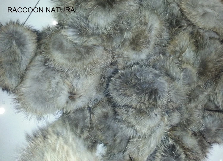 RACCOON NATURAL.jpg