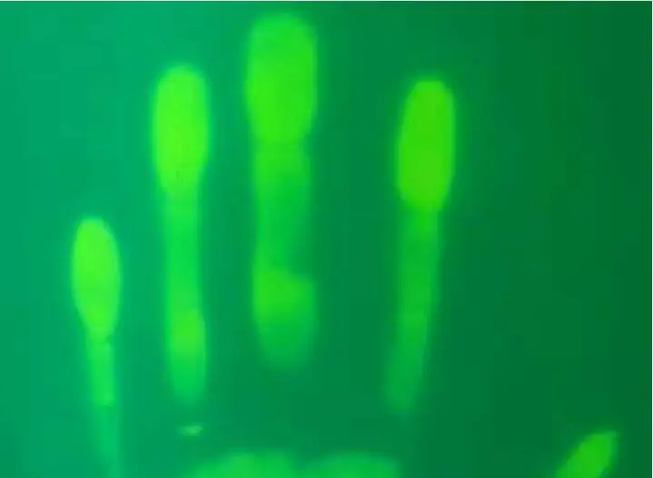 36020190314083946002