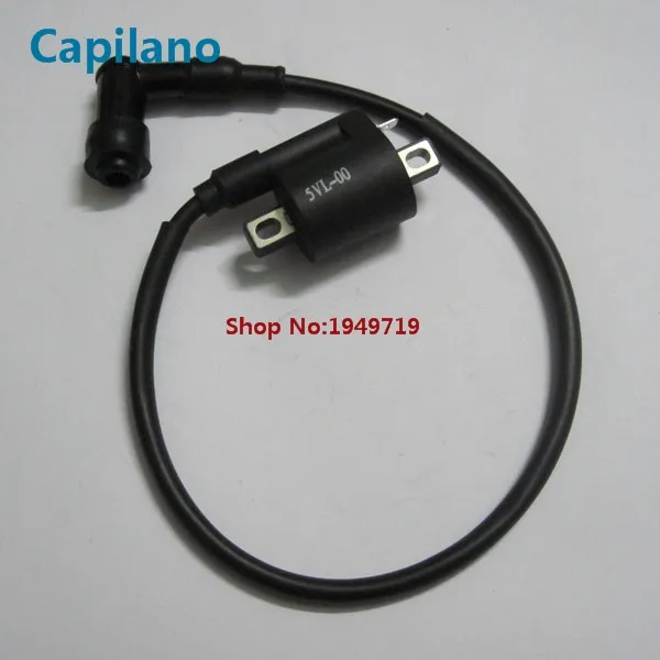 YBR125 ignition coil (1)