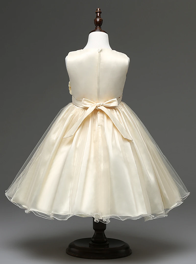 C01  Beige (6)