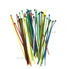 Self-Locking Plastic Nylon Wire Cable Zip Ties 100pcs Mix Cable Ties Fasten Loop Cable Various specifications ► Photo 3/6