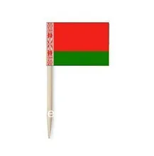 DHL free shipping Factory wholesale 65mm Banner /Advertising /Promotional Flag (toothpick flag)-Belarus flag