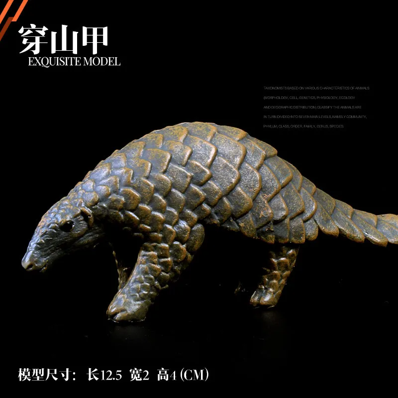 

Original wild life zoo animal model Pangolin Figurine figures kids educational toys children gift collecitible doll