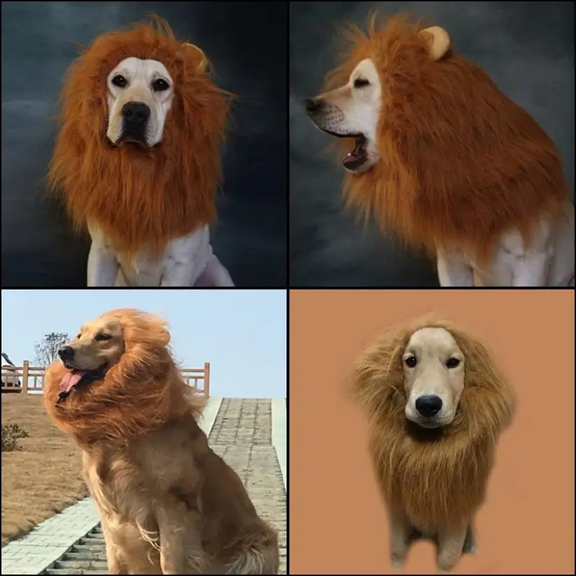 Download Lion Mane for Dog Costume With Gift Lion Tail Lion Wig for Dog Deraction For Fun T117-in Dog ...
