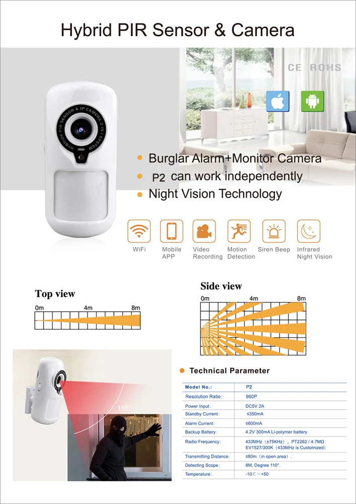 P2 PIR Camera