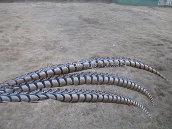 

Wholesale natural pheasant tail feathers 50pcs 100-105 cm / 40-42 inches Free shipping