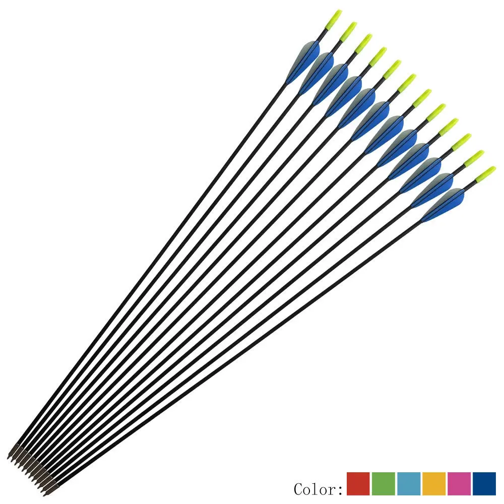 Preise 6 12 stücke 31 Zoll Fiberglas Pfeil Wirbelsäule 800 mit Pfeilspitze für Schießen Jagd Verbindung Recurve Bogenschießen Jagd Bogen