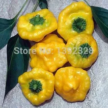 100 шт органический ямайский жёлтый перец Семена овощей