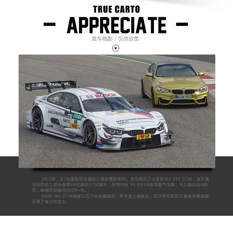 132 BMW M3 DTM Racing (4)