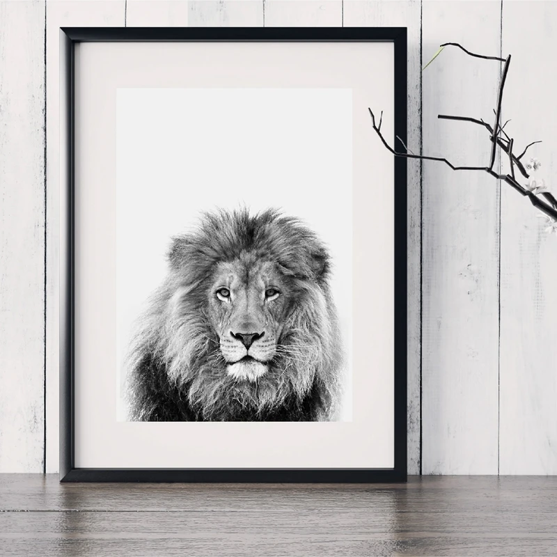 Lion Print