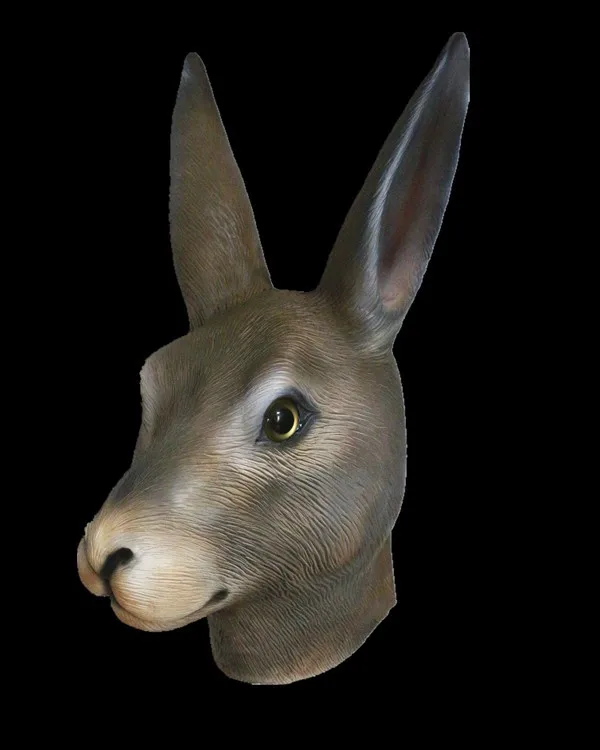 Rabbit HY-AM010-3..