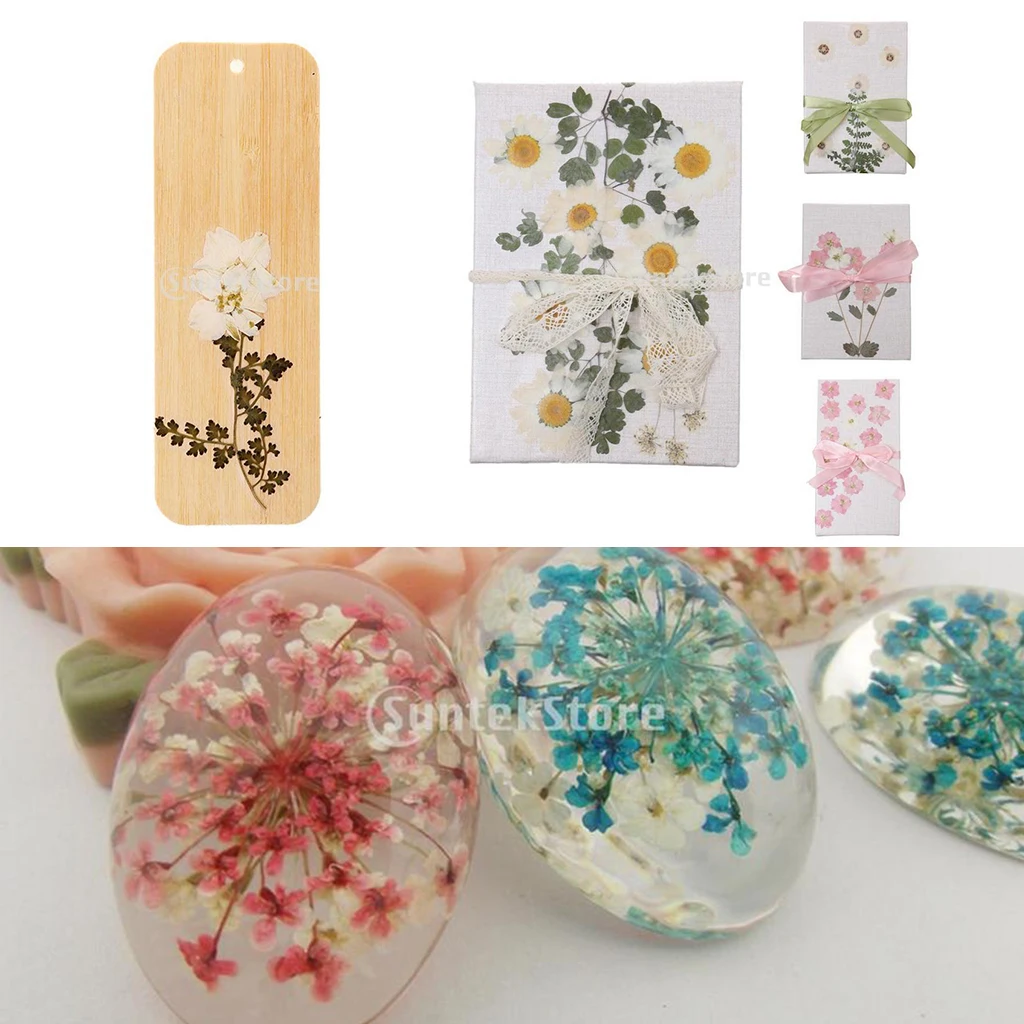 Pack Of Natural Dried Flower Real Flower Mixed For DIY Resin Ornament Craft Card Making Scrapbooking Embellishment Floral Design