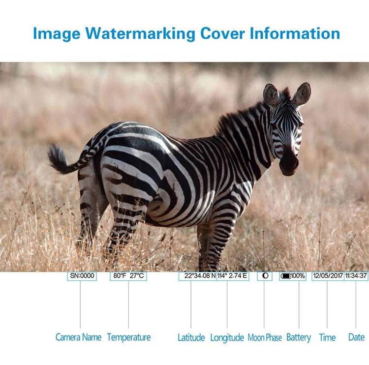 4G FDD-LTE GPS Hunting Trail Camera Sending Original 5MP Pictures & 30s 1080P HD Video Via SMTP and FTP with APP Waterproof IP66_F10