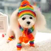 Winter Pet Puppy Accessories For Dogs Knitted Striped Hats Scarf