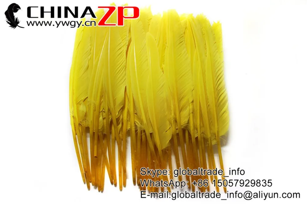 Duck Pointer Primary Wing Feathers-Yellow (3)