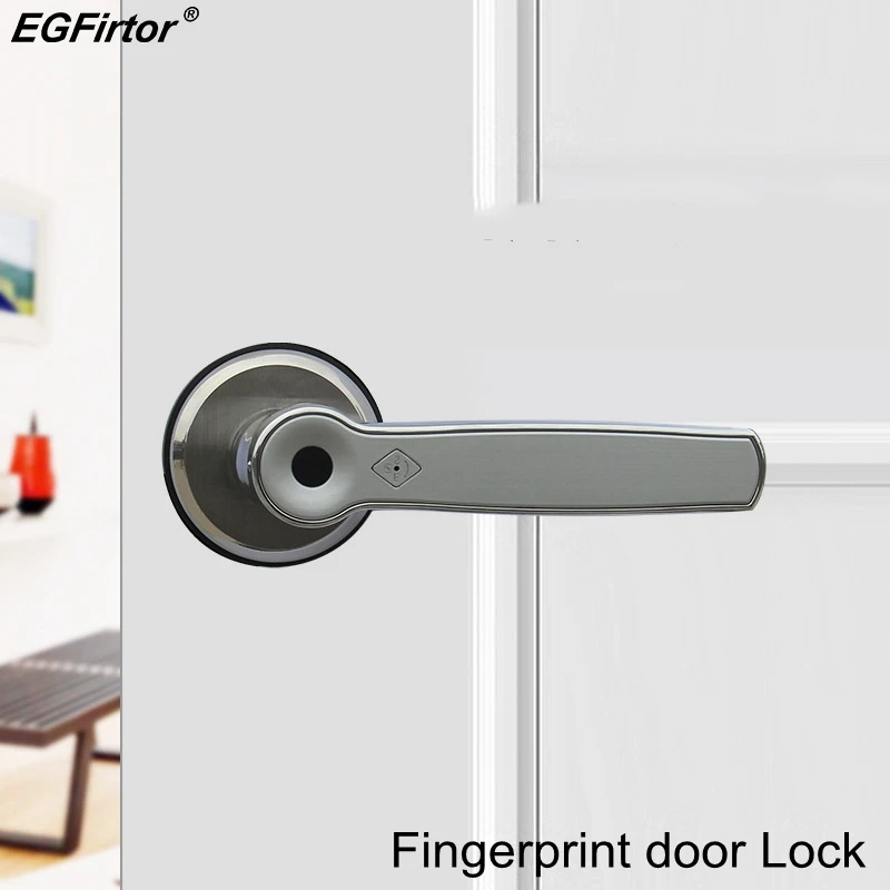 automatic door lock for home