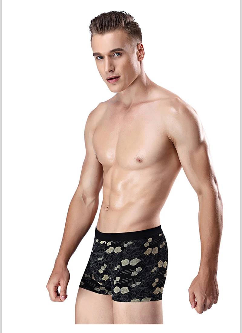 boxer013