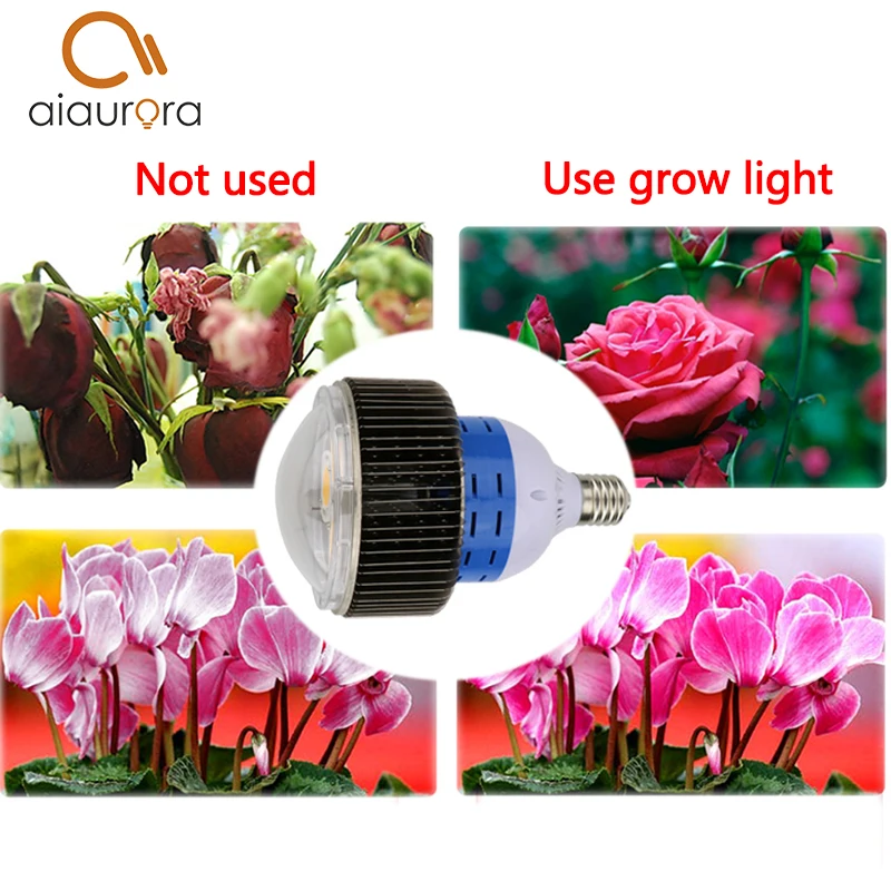 Полный спектр CREE chip 300 Вт COB LED Grow Light для гидропонных теплиц комнатных палаток