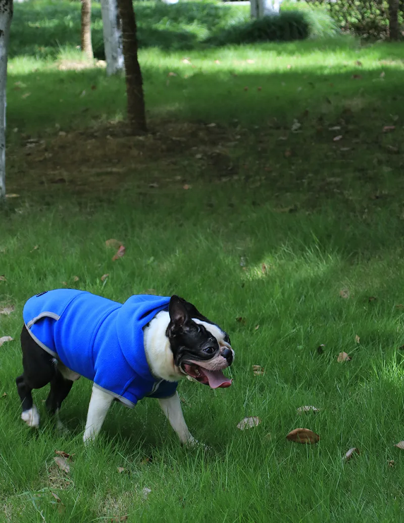 Dog Clothes Spring (17)