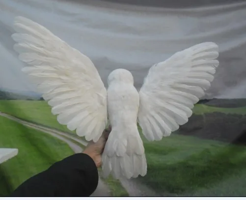 Моделирование сова перья птица 30x60 см расправление крылья сова модель ремесло, фотографии, обучения реквизит, украшения a1916