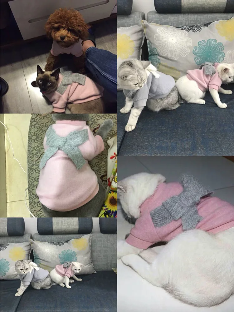 QQ20181018152313
