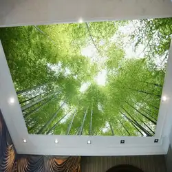 Потолочные обои бамбуковые обои фрески Зеленый пейзаж небо потолочные украшения Гостиная КТВ Бар пейзаж Фотообои