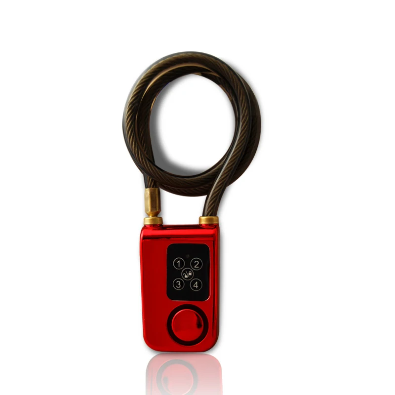 Kopen RAYKUBE Elektrische Digitale Deurslot Met Draad Touw Smart Lock Waterdichte thuis Anti Diefstal Slot Met 110dB Alarm Voor Deur   Fiets