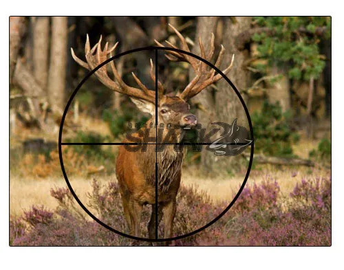 Escopo para Caça Militar Tático Rifle Tiro Hs1-0295 Ppt 3-9x40ao 8 High Quality Esporte e Lazer