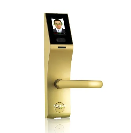 

Home Lock Security Lock FACE RECOGNITION DOOR LCOK BIOMETRIC LOCK DOOR LOCKS FACICAL LOCK ROOM LOCK