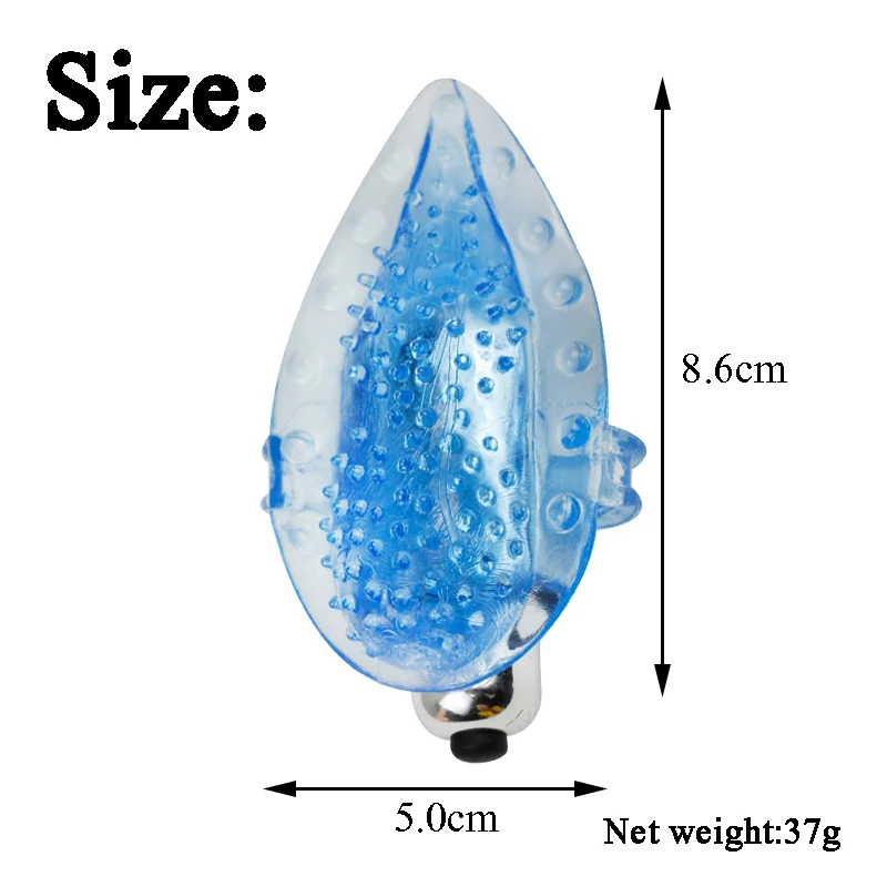 ZH019 (2)