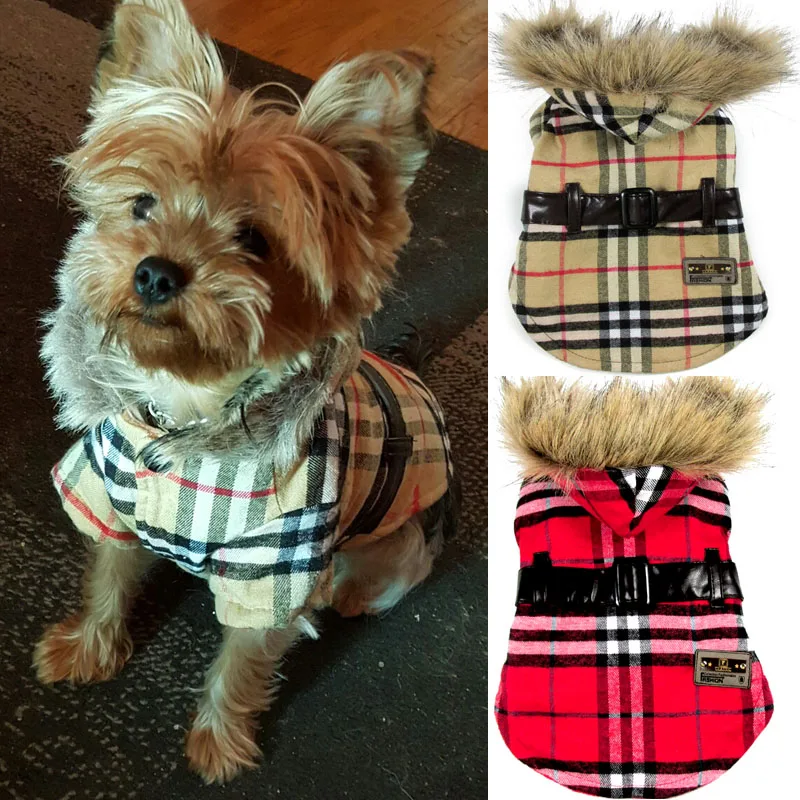 Free Shipping pet dog roupas para cachorro minion costume winter gatos