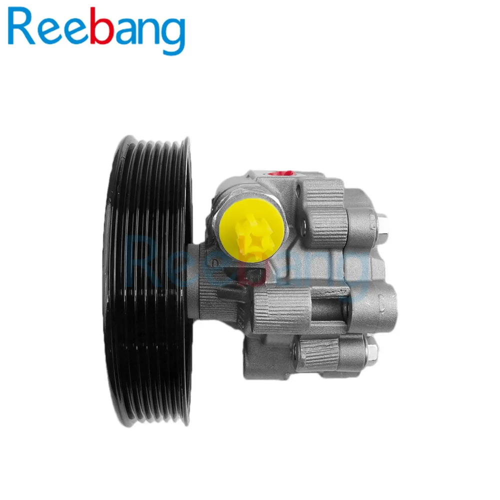 Насос гидроусилителя руля Reebang 2 4 для Chevrolet Captiva 95048324|Поворотные насосы и запчасти|