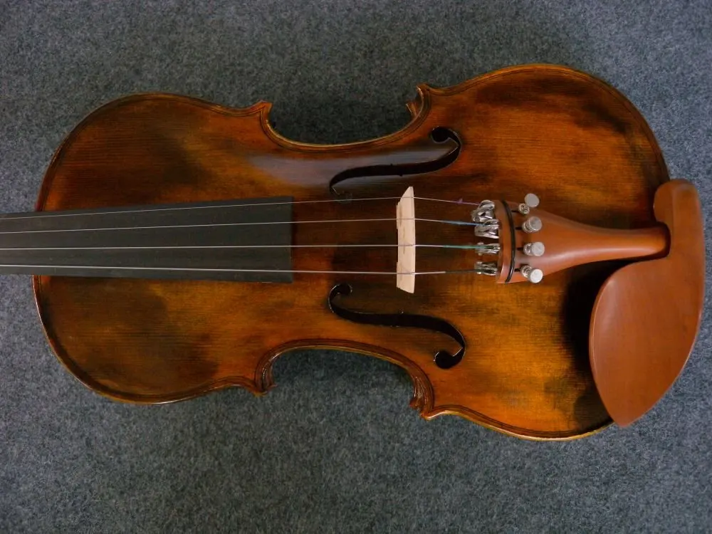 скрипка для детей. ребенок играет на скрипке. скрипка профессиональная. полька богемия для скрипки margery dawe. описание скрипки.