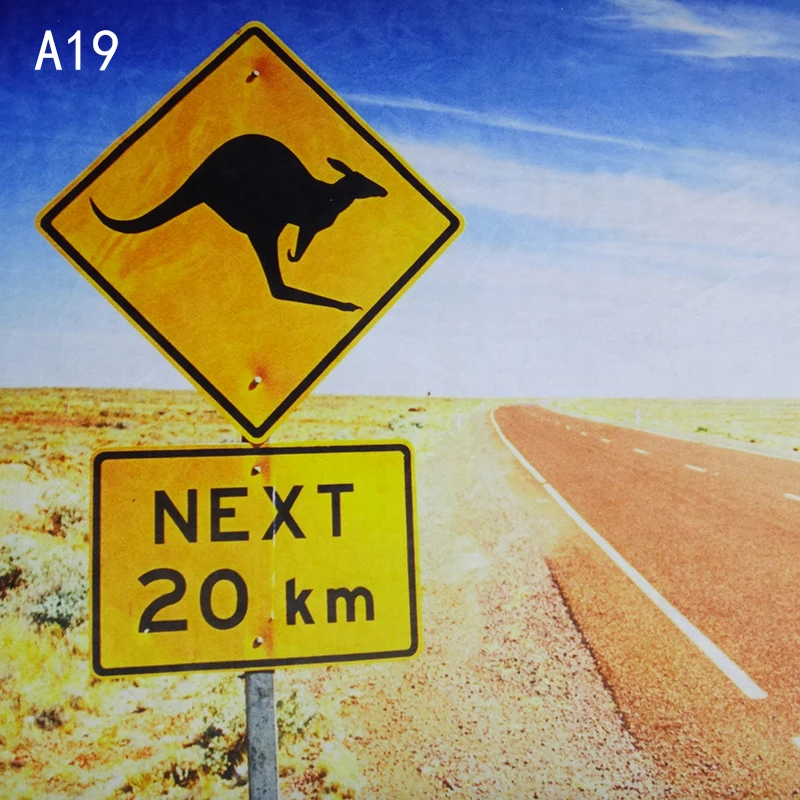 A19 (2)