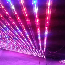 Продвижение 20 Вт t8 led grow light Tube для внутреннего овощей 660nm 460nm 12000 К лучший рост